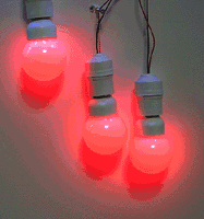 led߲ʵ